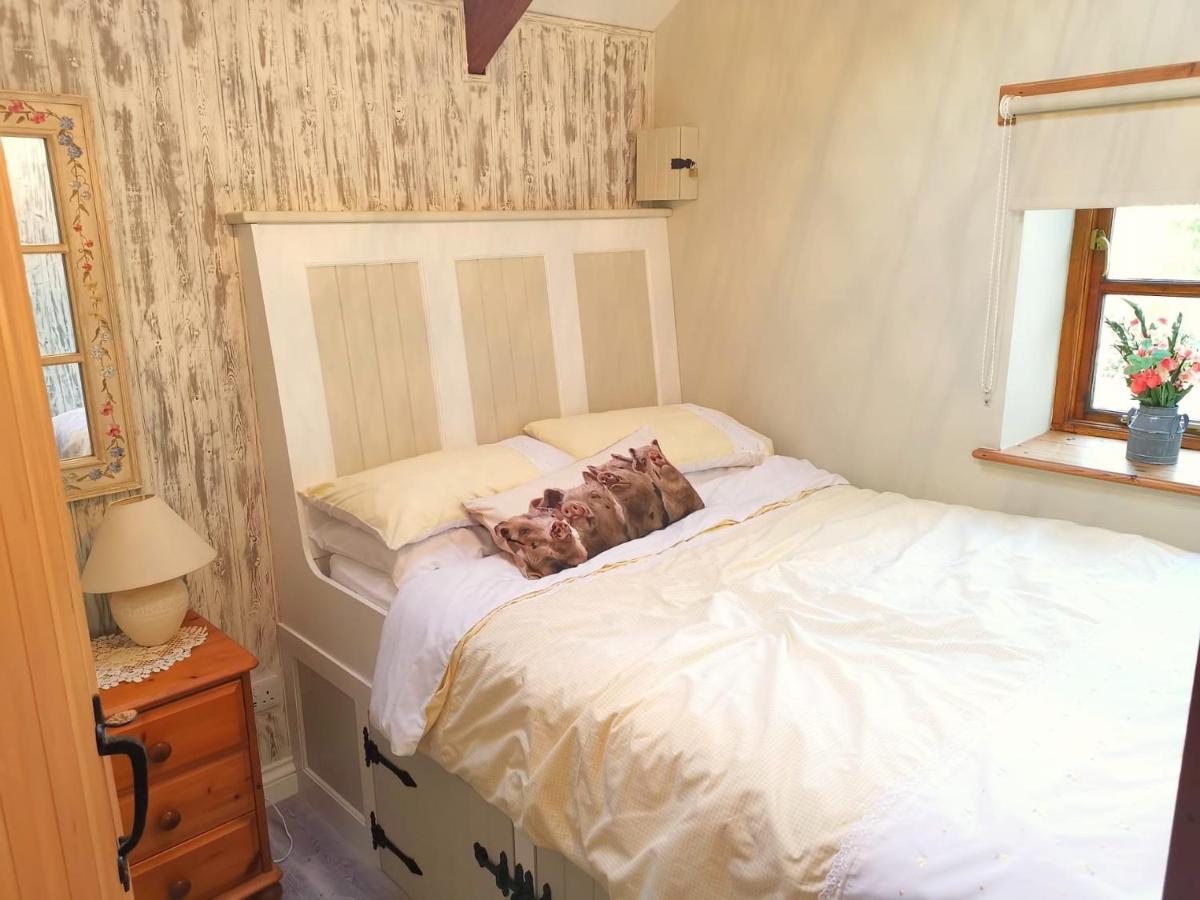 Farm Accommodation - The Lizard Peninsula, Cornwall Helston Kültér fotó