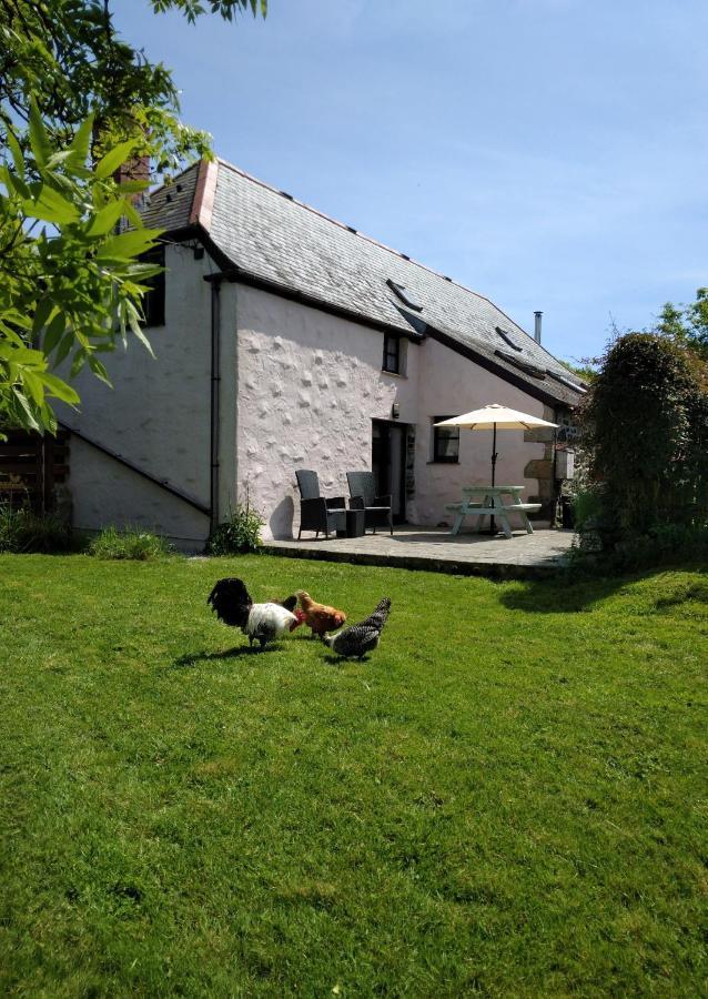Farm Accommodation - The Lizard Peninsula, Cornwall Helston Kültér fotó
