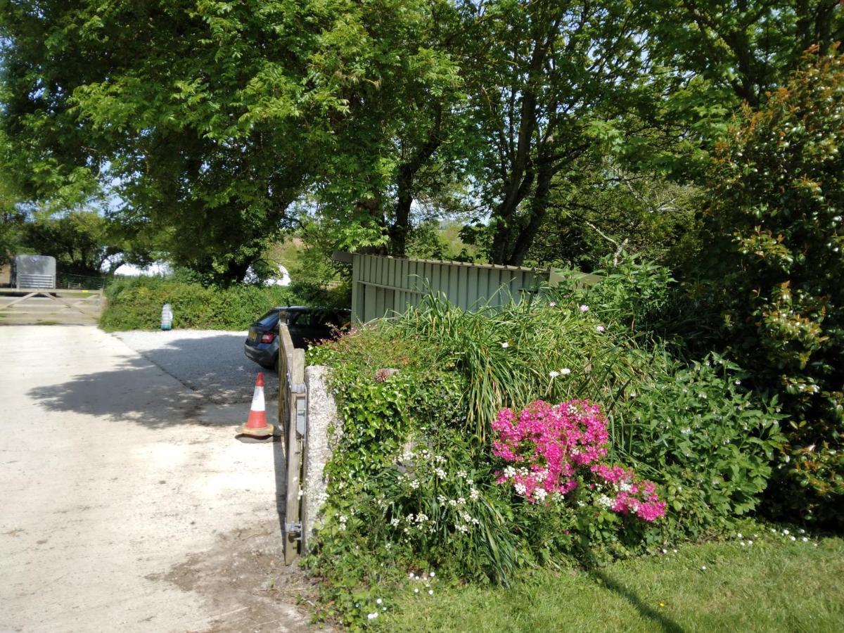 Farm Accommodation - The Lizard Peninsula, Cornwall Helston Kültér fotó